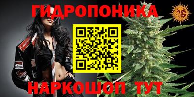 кокаин Шебекино