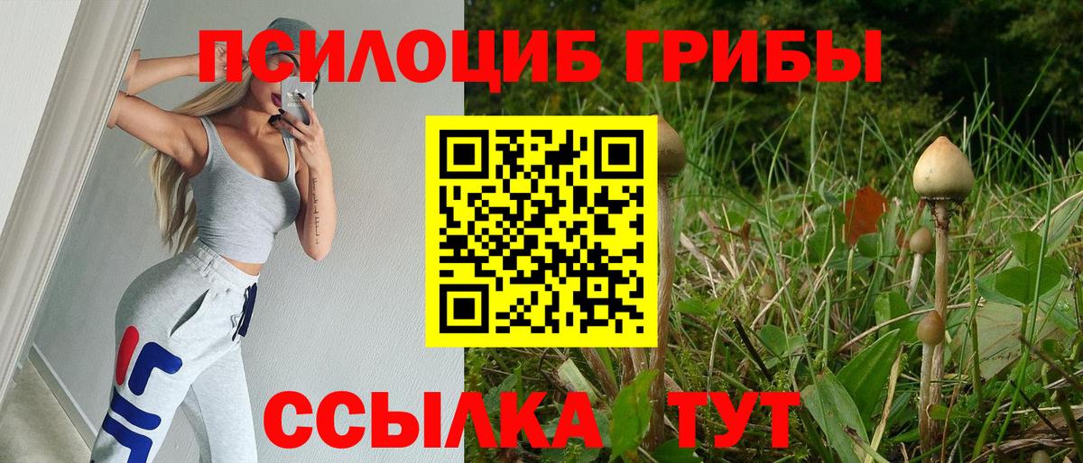 Галлюциногенные грибы Cubensis Тихорецк