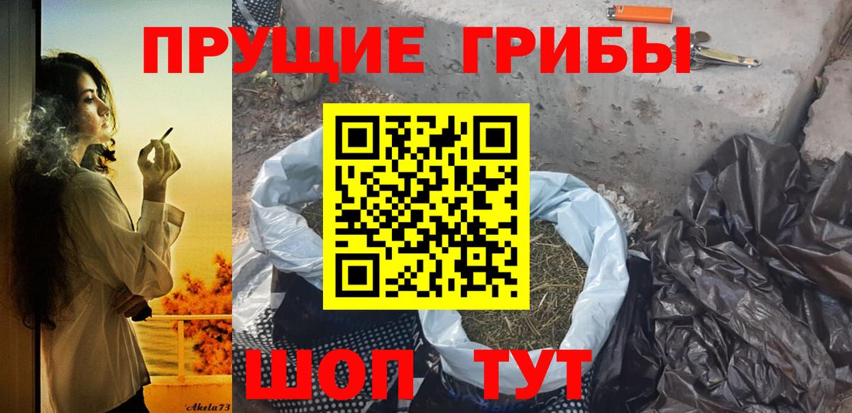 Тихорецк  Галлюциногенные грибы Cubensis  Вход с VPN  Псилоцибиновые грибы Psilocybine cubensis 